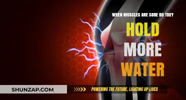Muscle Soreness and Water Retention: Unraveling the Hydration Connection