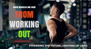 Understanding Muscle Soreness: Causes, Recovery, and Effective Relief Strategies