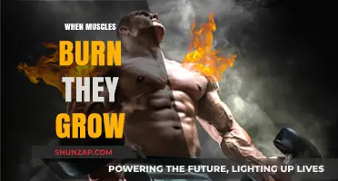 Muscle Burn: Unlocking Growth Through Metabolic Stress and Recovery