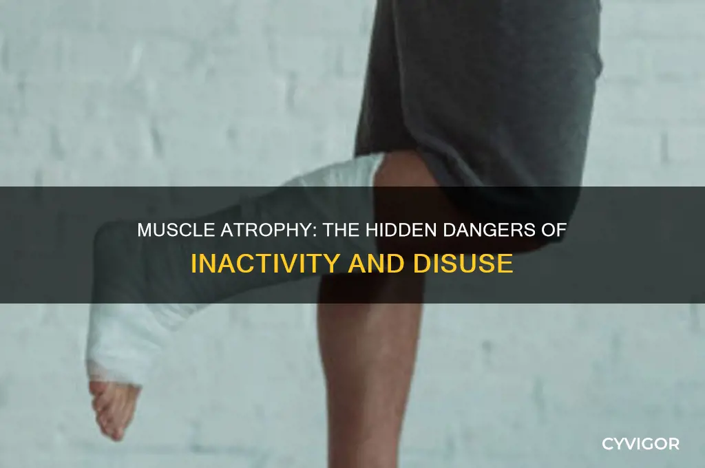 when muscles don