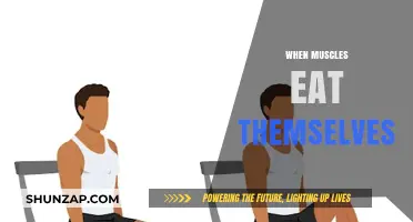 Muscle Wasting: When Muscles Eat Themselves