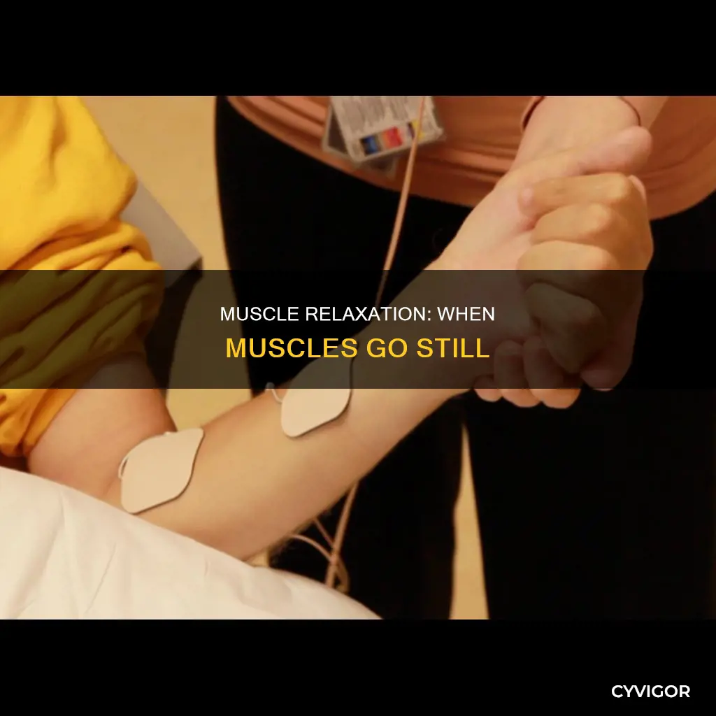 when muscles go still