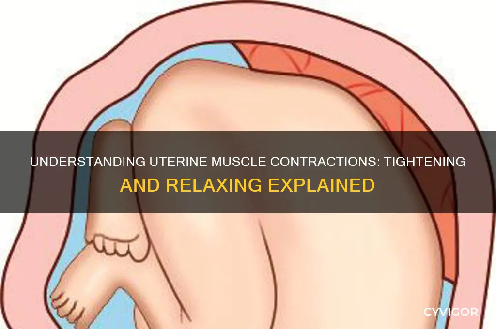 when muscles of uterus tighten than relax