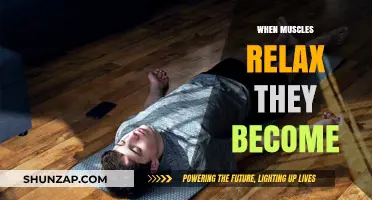 Muscle Relaxation: Understanding How Muscles Change When They Release Tension