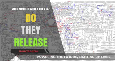 Muscle Metabolism: Unveiling the Biochemical Secrets of Hard Work
