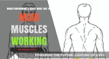 Squat Muscles: Unlocking the Key Groups in Every Rep