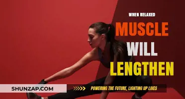 Relaxed Muscles and Lengthening: Understanding the Science of Flexibility