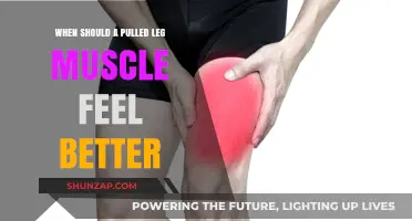 Pulled Leg Muscle Recovery Timeline: When to Expect Relief and Healing