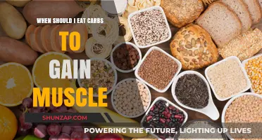 Carb Timing for Muscle Gain: Optimize Your Nutrition Strategy