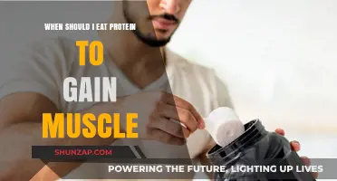 Optimal Protein Timing for Muscle Growth: When to Eat for Results