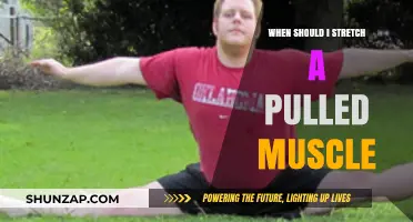 Pulled Muscle Recovery: When and How to Safely Stretch for Healing