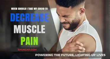Best Time to Take Coq10 for Muscle Pain Relief