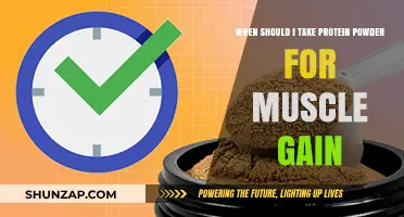 Optimal Timing for Protein Powder to Maximize Muscle Gain