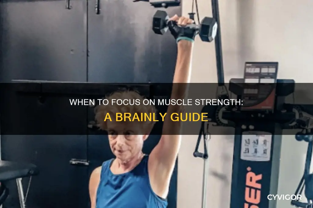 when should someone work on muscle strength brainly