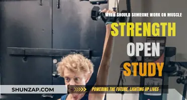 Optimal Timing for Building Muscle Strength: Insights from Open Study
