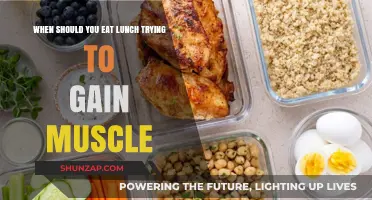 Optimal Lunch Timing for Muscle Gain: Fuel Your Growth Strategically