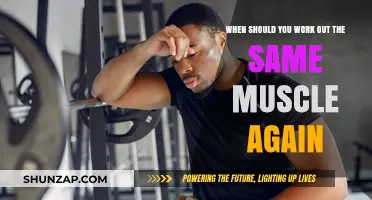 Optimal Muscle Recovery: Timing Your Next Workout for Maximum Gains