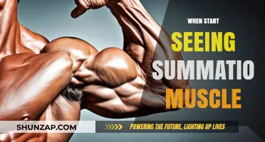 Visible Muscle Definition: When Can You Expect Results?