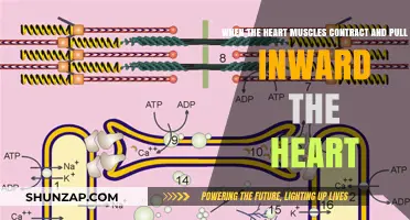 Understanding the Heart's Inward Contraction: A Vital Cardiac Process