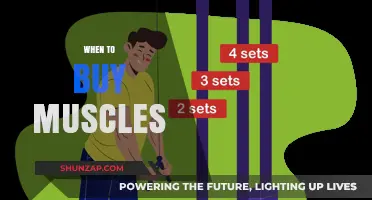 Best Time to Buy Muscle: Maximizing Your Gains