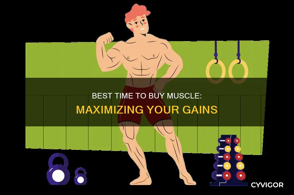 when to buy muscles