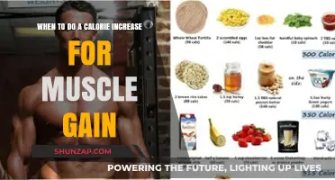 Strategic Calorie Increase: Timing for Optimal Muscle Gain Results