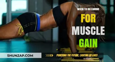 Cardio Timing for Muscle Gain: Maximize Growth and Recovery