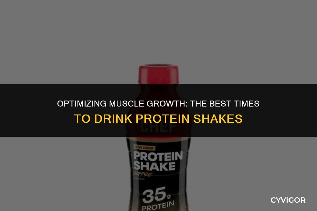 when to drink protein shakes for muscle building