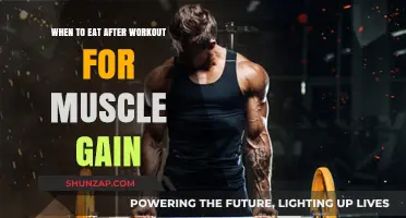 Post-Workout Nutrition Timing: Maximize Muscle Gain with Smart Eating