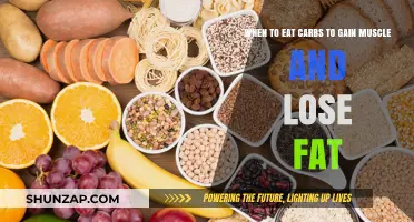 Carb Timing Secrets: Fuel Muscle Growth and Burn Fat Efficiently