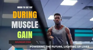 Optimal Fat Intake Timing for Effective Muscle Gain Strategies