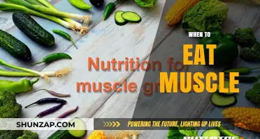 Building Muscle: The Best Time to Eat for Growth