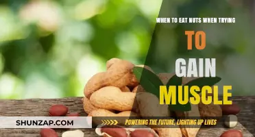 Optimal Nut Timing for Muscle Gain: Fuel Your Growth Strategically