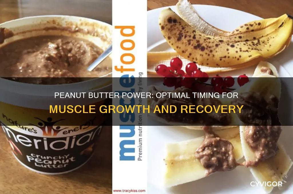 when to eat peanut butter for muscle gain
