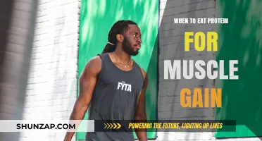 Optimal Protein Timing for Muscle Growth: When to Fuel Up