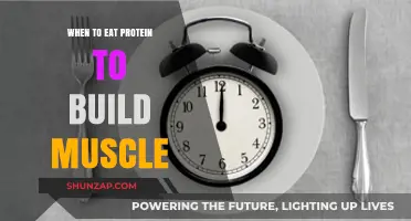 Optimizing Protein Intake: A Guide to Muscle Building Timing