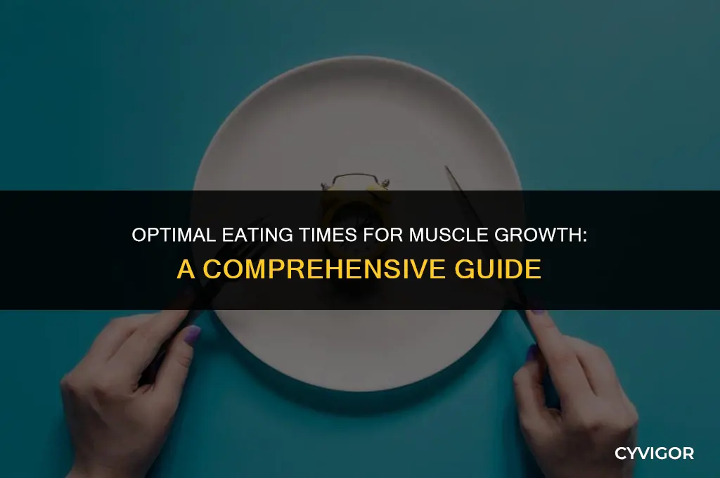 when to eat to build muscle