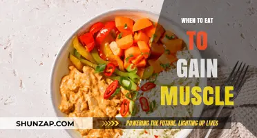 Optimal Eating Times for Muscle Gain: Fuel Your Growth Strategically