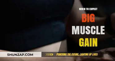 Maximizing Muscle Growth: Timing and Strategies for Significant Gains