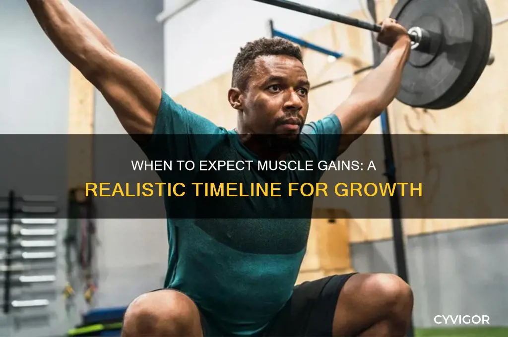 when to expect muscle gains