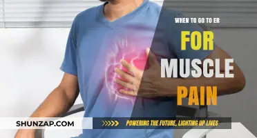 When Muscle Pain Becomes an Emergency: ER Visit Guidelines