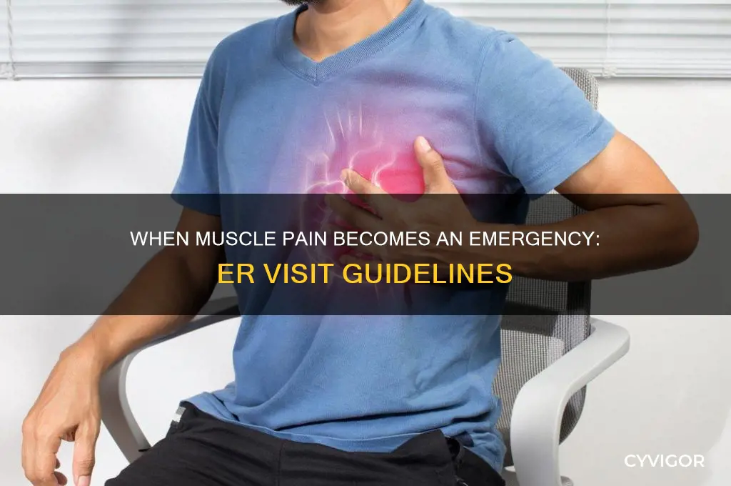 when to go to er for muscle pain