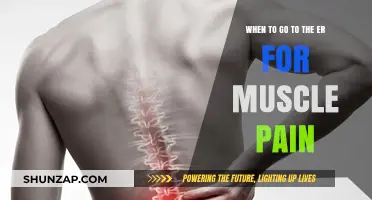 When Muscle Pain Becomes an Emergency: ER Visit Guidelines