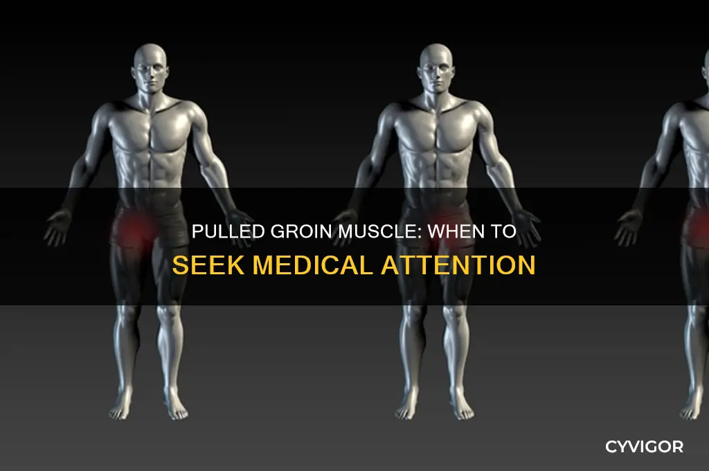 when to seek medical attention for a pulled groin muscle