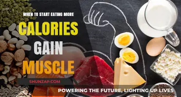 When to Boost Calorie Intake for Effective Muscle Gain
