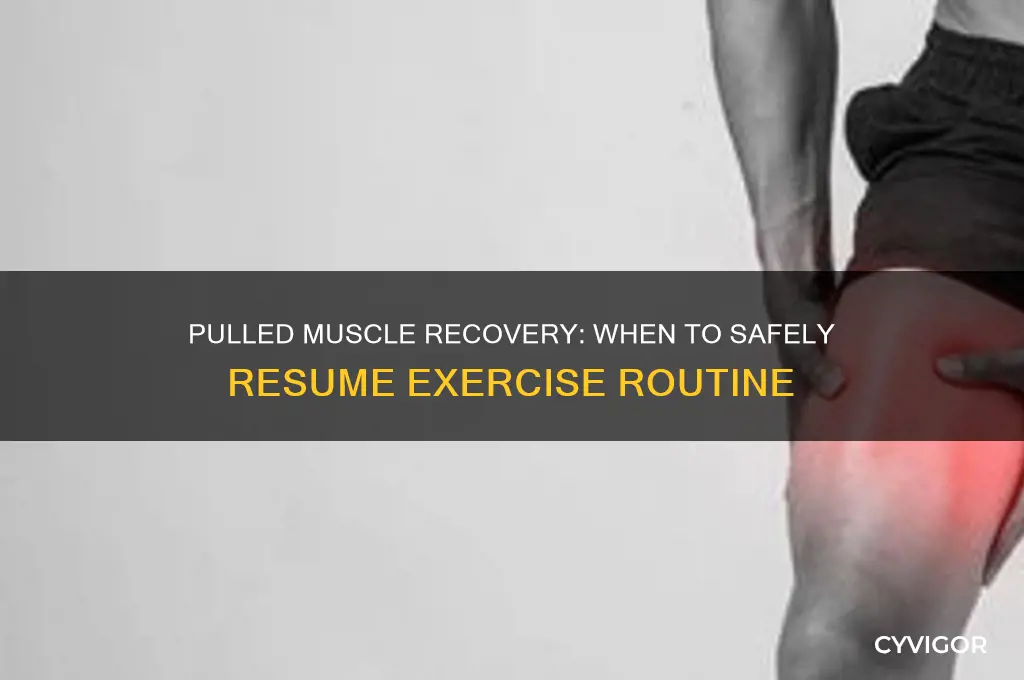 when to start exercising after pulled muscle