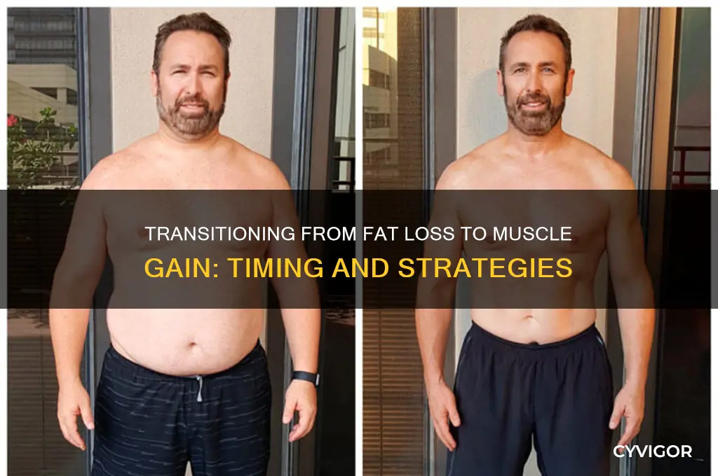 when to switch from fat loss to muscle gain