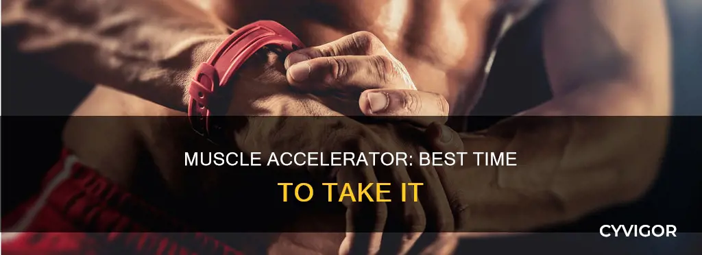 when to take muscle accelerator