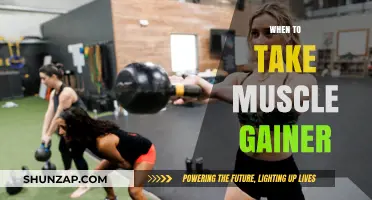 Optimal Timing for Muscle Gainer: Maximize Gains and Recovery