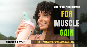 Optimal Timing for Protein Powder to Maximize Muscle Growth